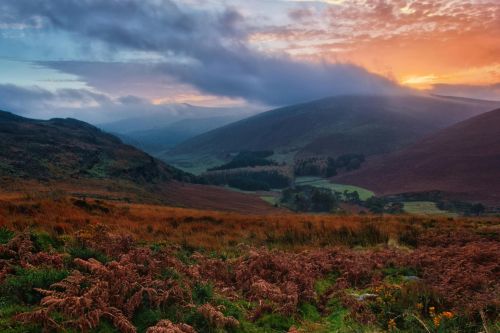 Serene Irish landscape with mountains and vibrant sunrise hues in the sky.
