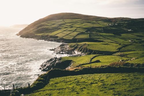 Breathtaking view of Ireland's green hills meeting the ocean, perfect for nature enthusiasts.