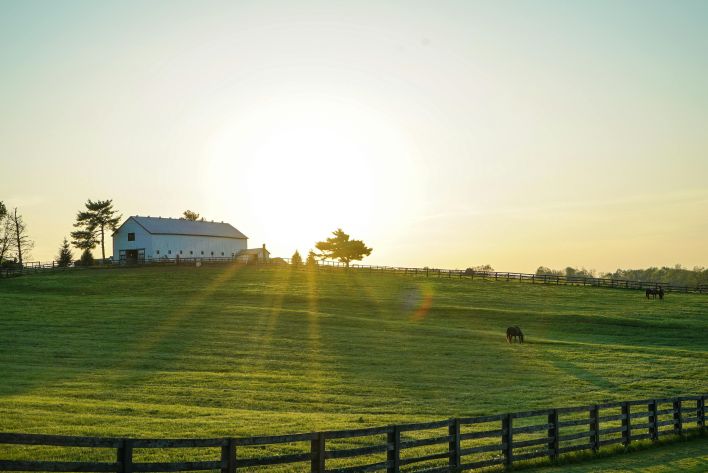 Beautiful sunrise illuminating a peaceful Kentucky farm with lush green pastures and grazing horses.