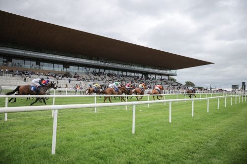 Jockeys and horses burst from the starting gate in a thrilling race in Budapest.