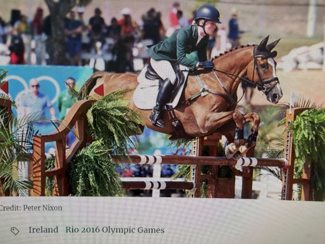 Jockeys and horses burst from the starting gate in a thrilling race in Budapest.