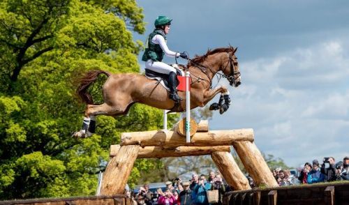 Close-up of a bay horse's side with saddle and racing number outdoors.