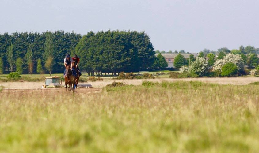 Fast-paced horse racing competition with jockeys in action on dirt track outdoors.